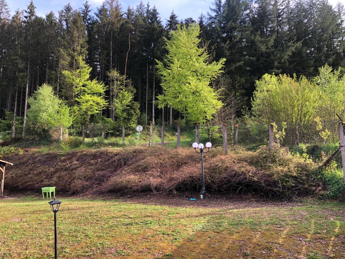 Le Clara Villa Saulxures Exteriör bild