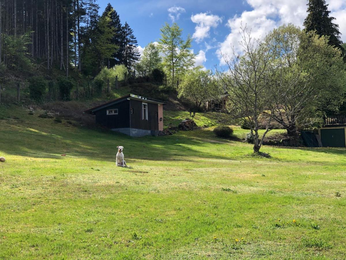 Le Clara Villa Saulxures Exteriör bild