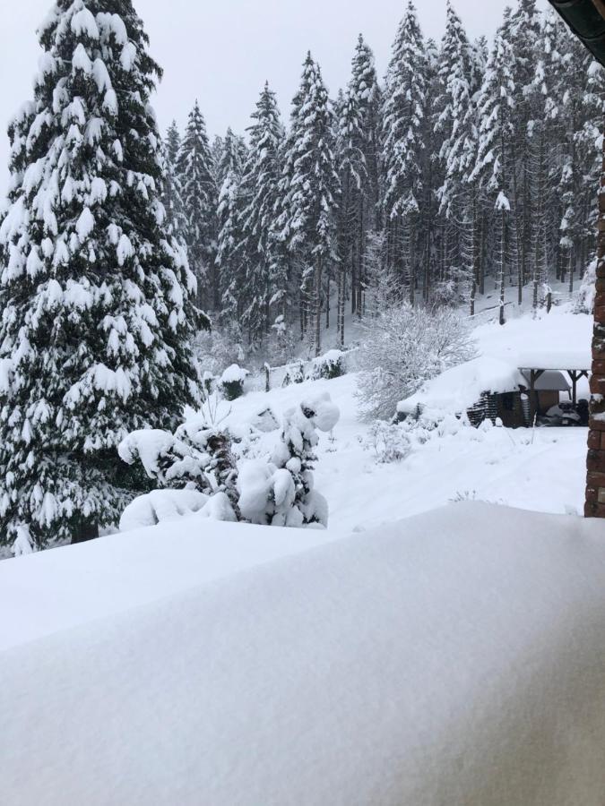 Le Clara Villa Saulxures Exteriör bild